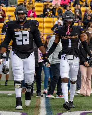 Ualbany Great Danes Football Pawtucket