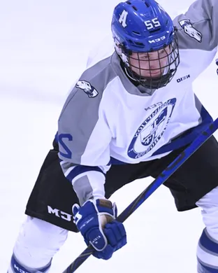 Assumption College Greyhounds Worcester