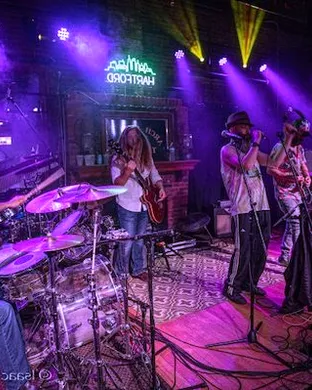 Bearly Dead - Grateful Dead Tribute Plymouth