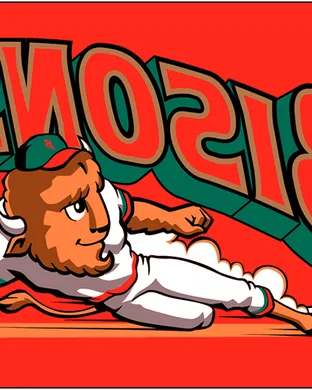 Buffalo Bisons Worcester