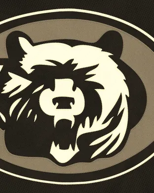 Premium Tailgate Party: Chicago Bears vs. New England Patriots