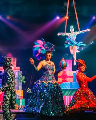 Cirque Dreams: Holidaze
