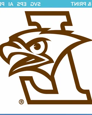 Lehigh Mountain Hawks Worcester