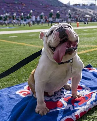 Louisiana Tech Bulldogs Hattiesburg