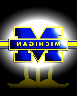 Michigan Wolverines Ann Arbor