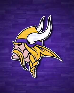 Minnesota Vikings Foxborough