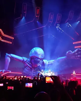 Muse Mansfield