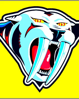 Nashville Predators Nashville