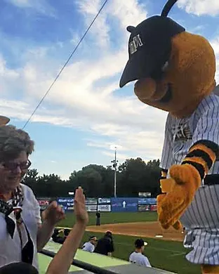 New Britain Bees Worcester