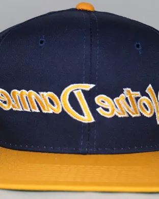 Notre Dame Fighting Irish Foxborough