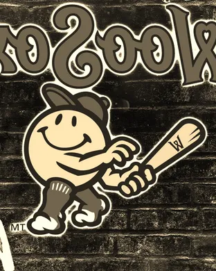 Worcester Red Sox Worcester