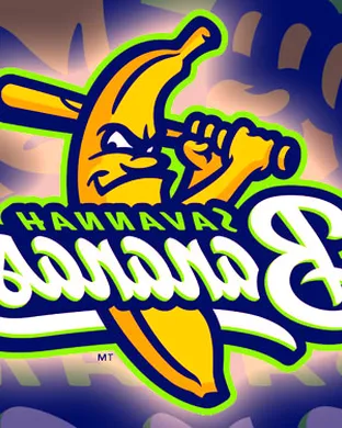 Savannah Bananas Foxborough