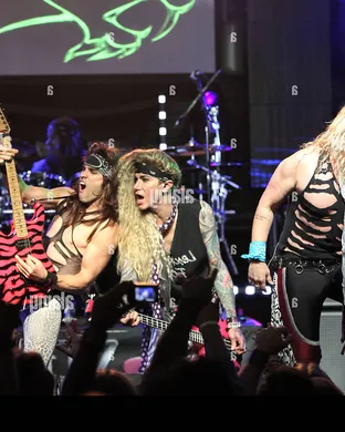 Steel Panther Foxborough