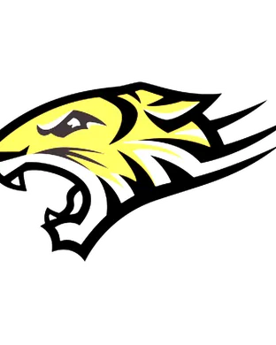 Towson Tigers Football Pawtucket