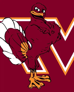 Virginia Tech Hokies Football Chestnut Hill