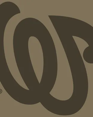 Washington Nationals Boston