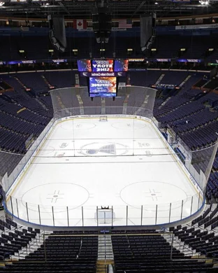 Georgia Bulldogs Hockey Athens