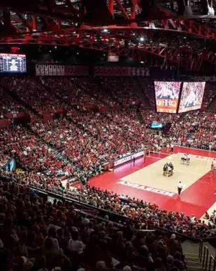 California Golden Bears Volleyball vs. Boston College Eagles